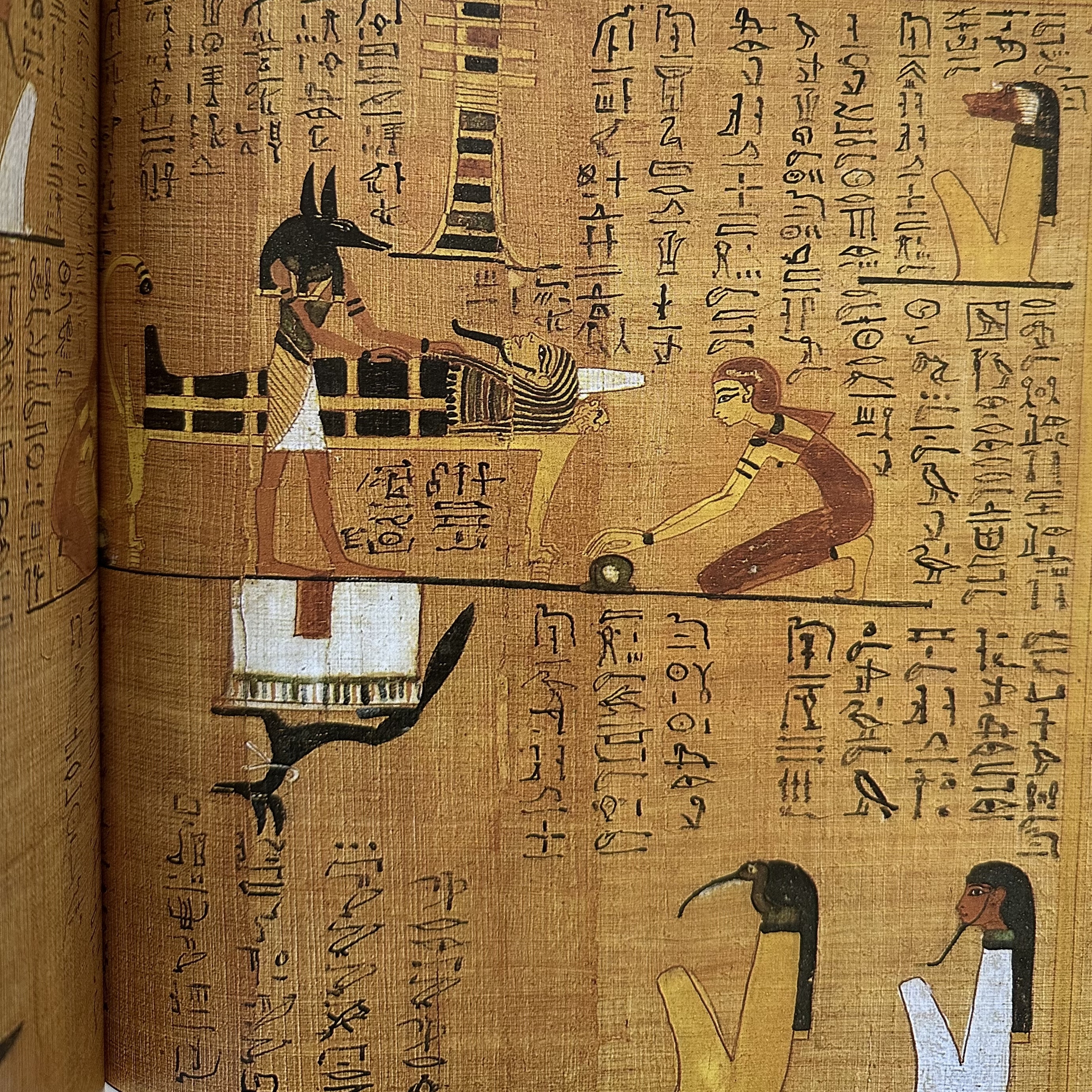 FAULKNER R. O. : The Ancient Egyptian Book of the Dead. La Route des Rois. Librairie. Archéologie