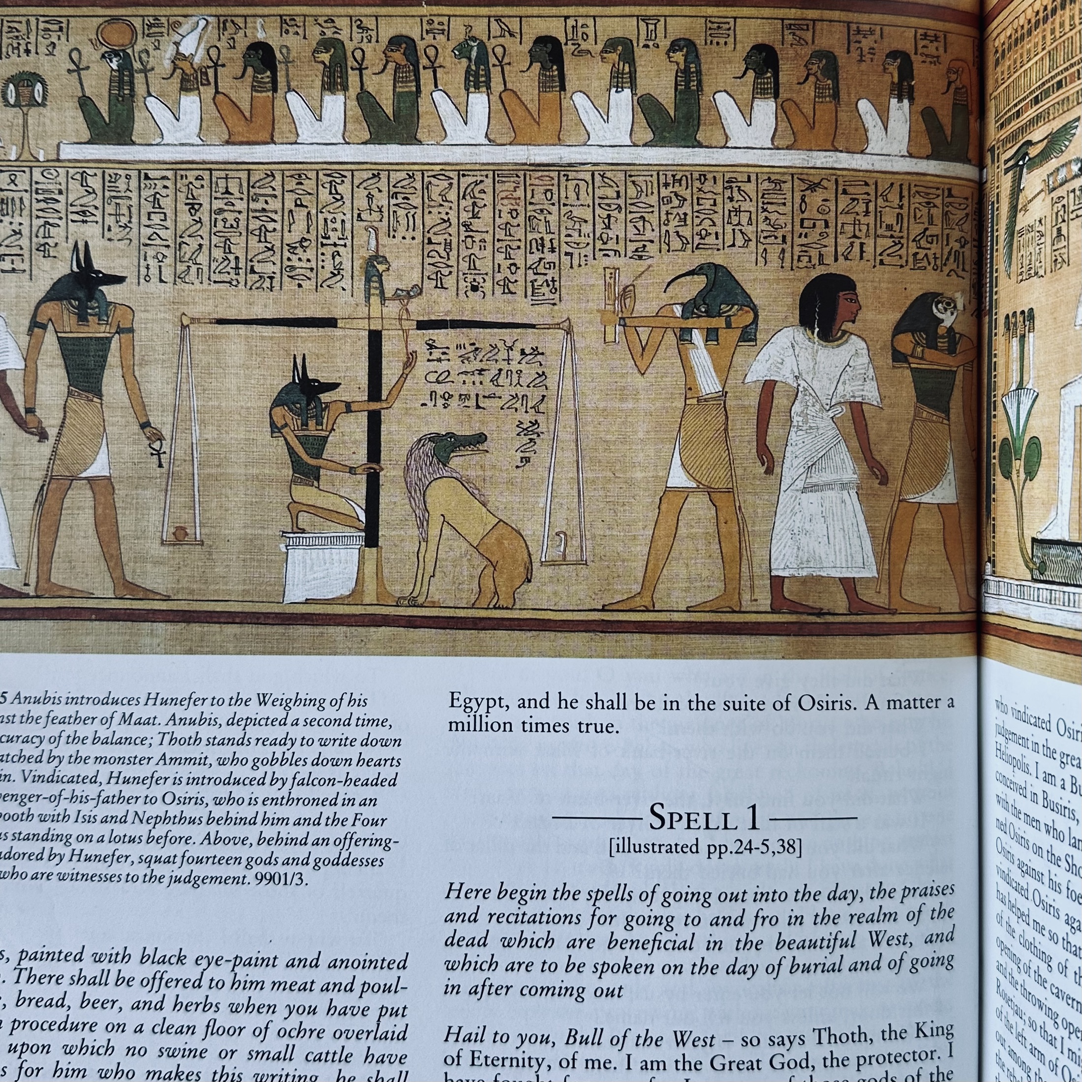 FAULKNER R. O. : The Ancient Egyptian Book of the Dead. La Route des Rois. Librairie. Archéologie