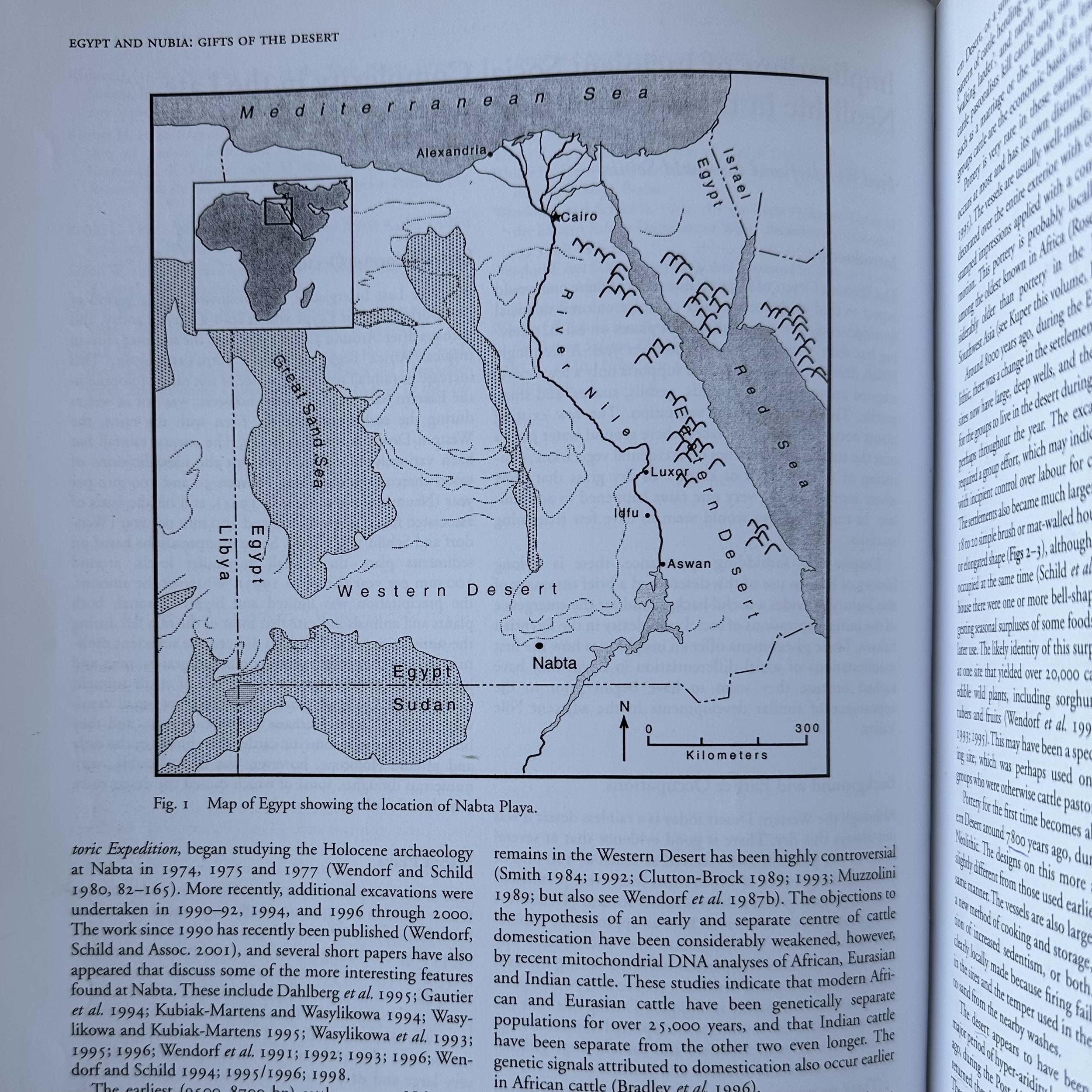 FRIEDMAN RENEE Dr : Egypt and Nubia Gifs of the Desert. La Route des Rois. Librairie. Archéologie