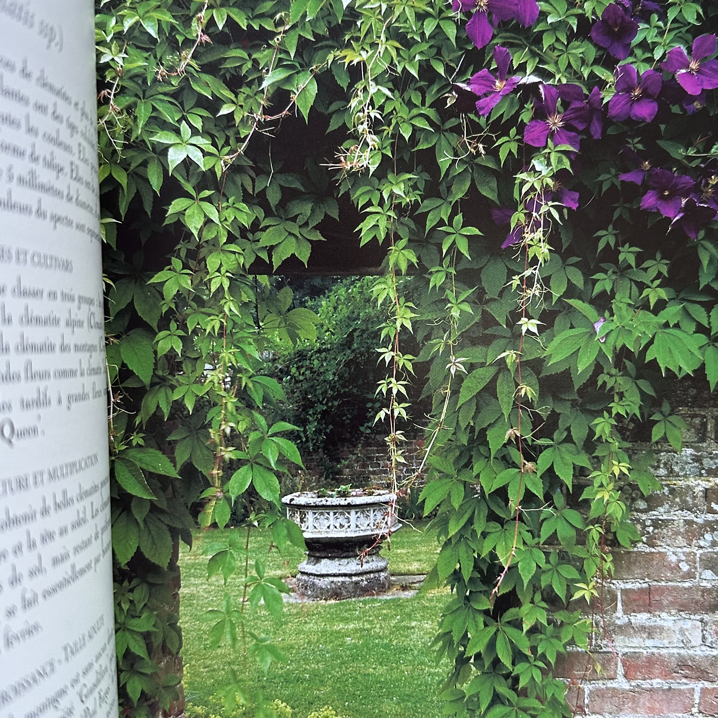 VIARD M. : Vite un Beau Jardin - Plantes à Croissance Rapide. La Route des Rois. Librairie. Jardin/Ecologie