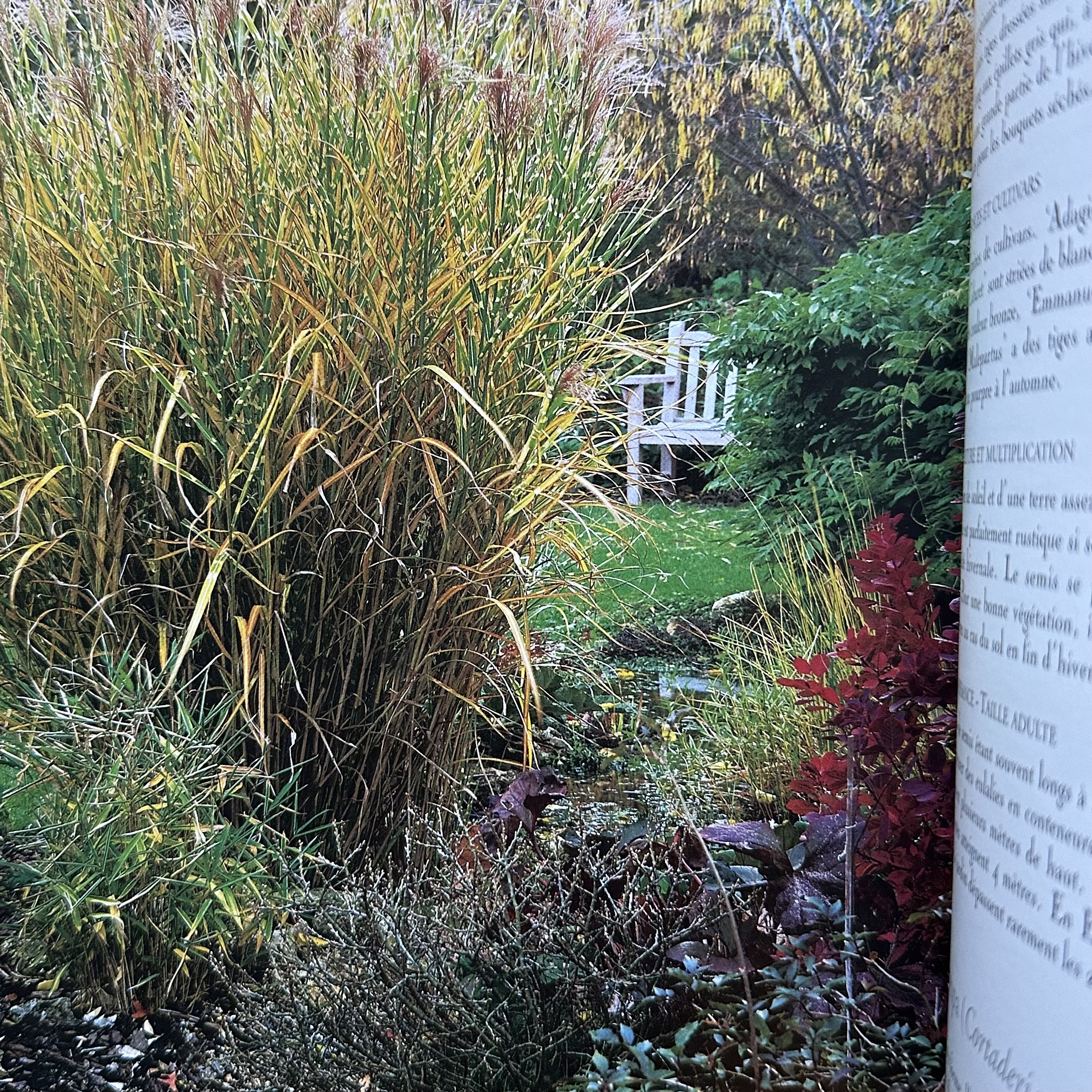 VIARD M. : Vite un Beau Jardin - Plantes à Croissance Rapide. La Route des Rois. Librairie. Jardin/Ecologie
