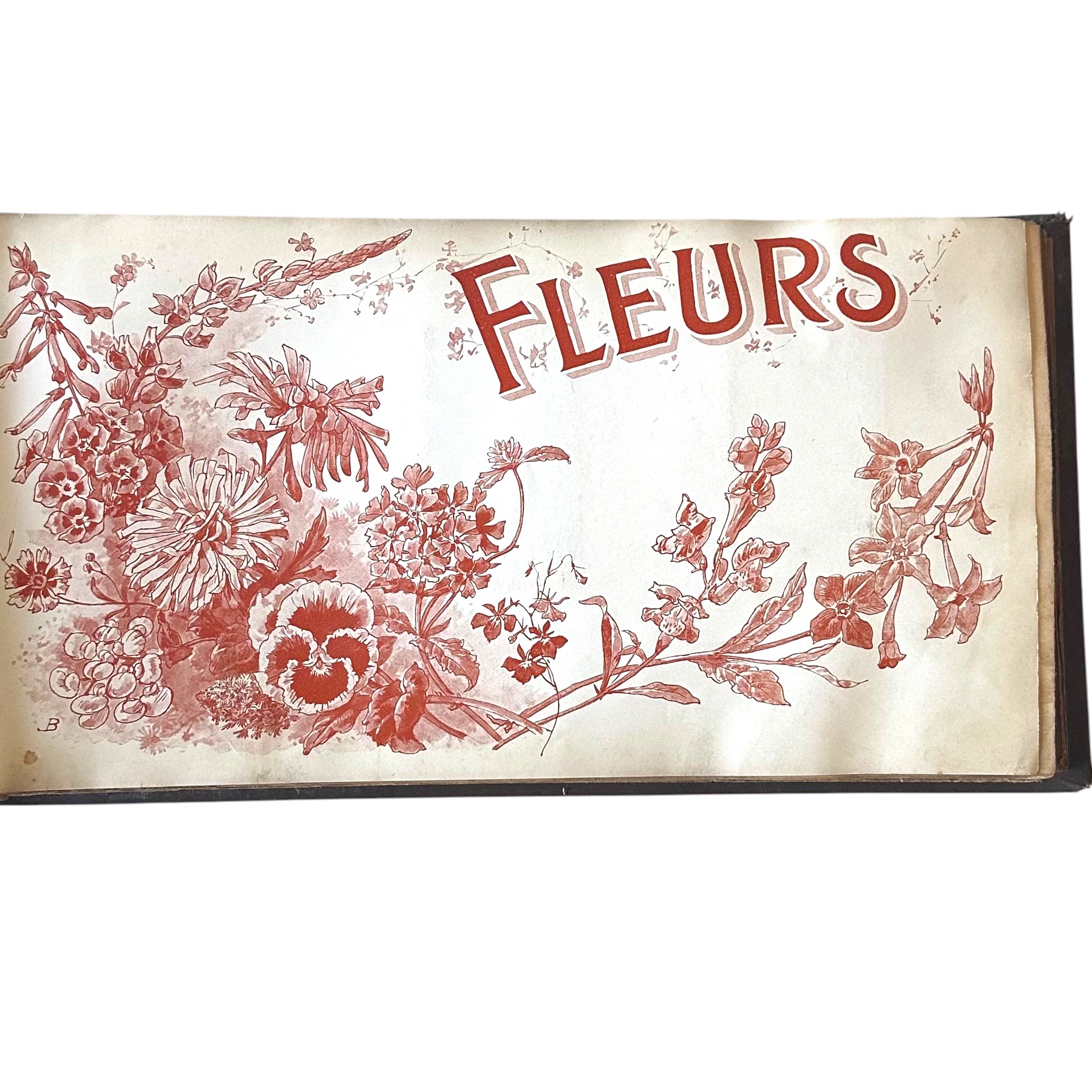 BAUDOT L. : Fleurs et Légumes de nos Jardins. La Route des Rois. Librairie. Jardin/Ecologie