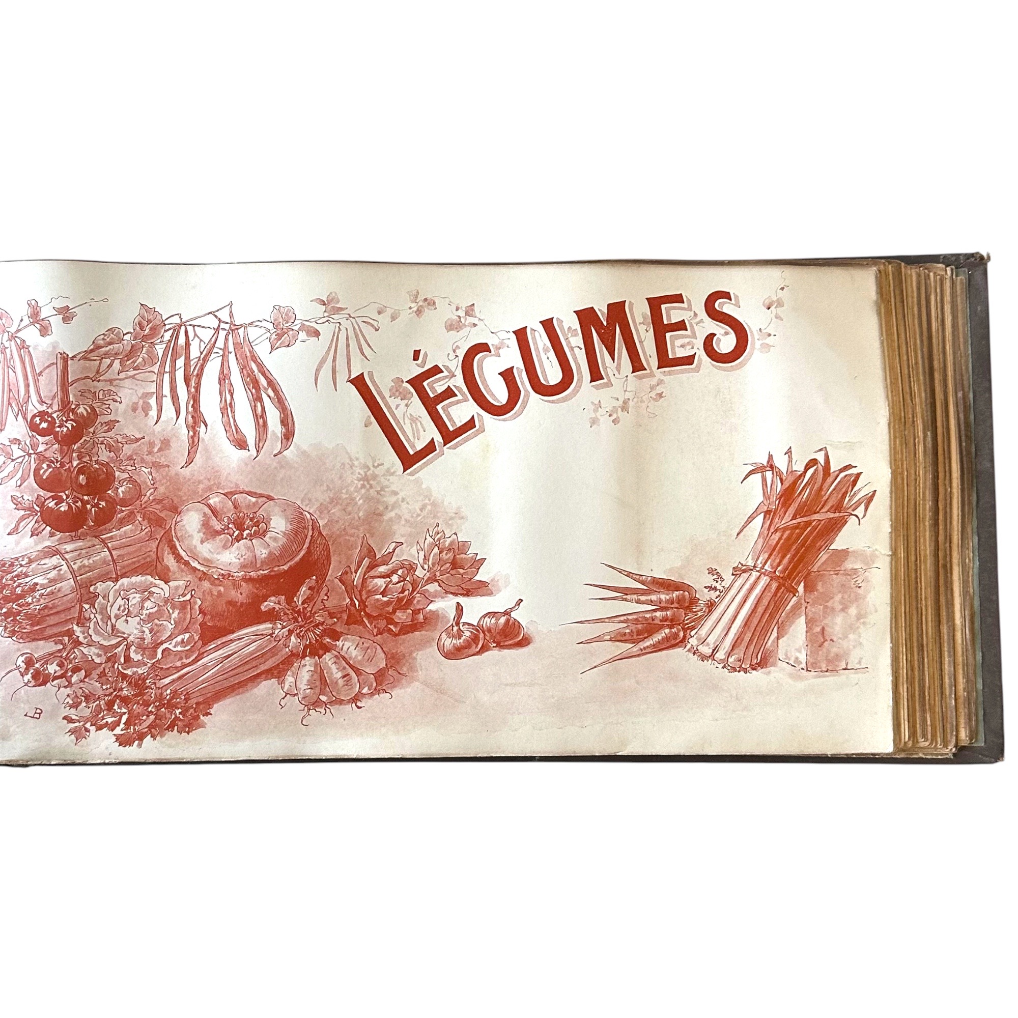 BAUDOT L. : Fleurs et Légumes de nos Jardins. La Route des Rois. Librairie. Jardin/Ecologie