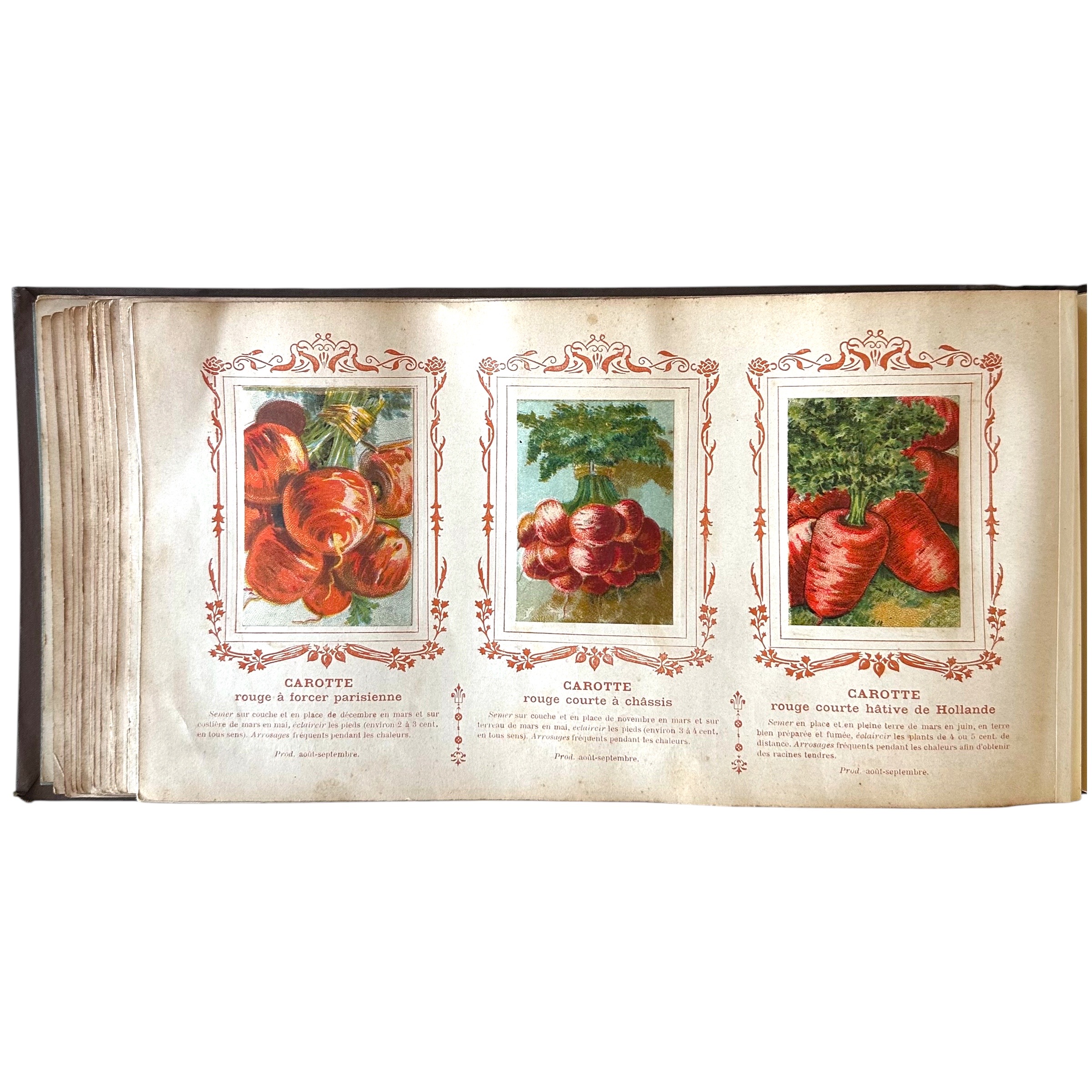 BAUDOT L. : Fleurs et Légumes de nos Jardins. La Route des Rois. Librairie. Jardin/Ecologie