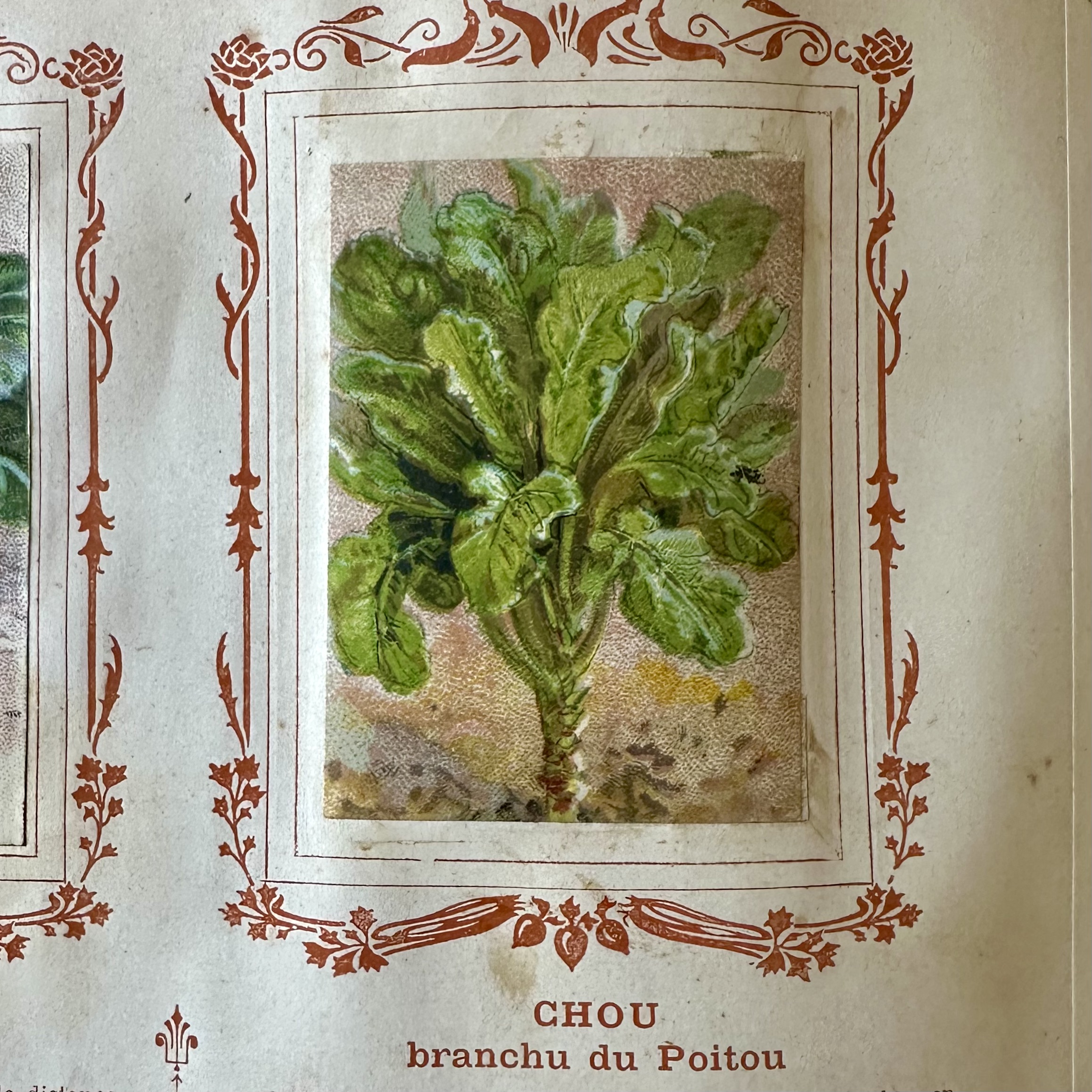 BAUDOT L. : Fleurs et Légumes de nos Jardins. La Route des Rois. Librairie. Jardin/Ecologie