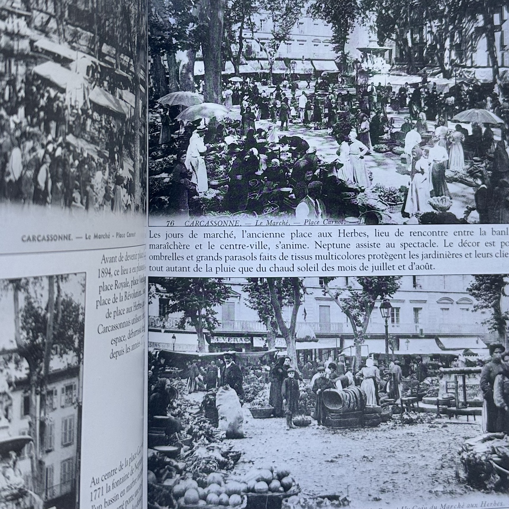COLLECTIF : Mémoire en Image - Carcassonne. La Route des Rois. Librairie. Histoire