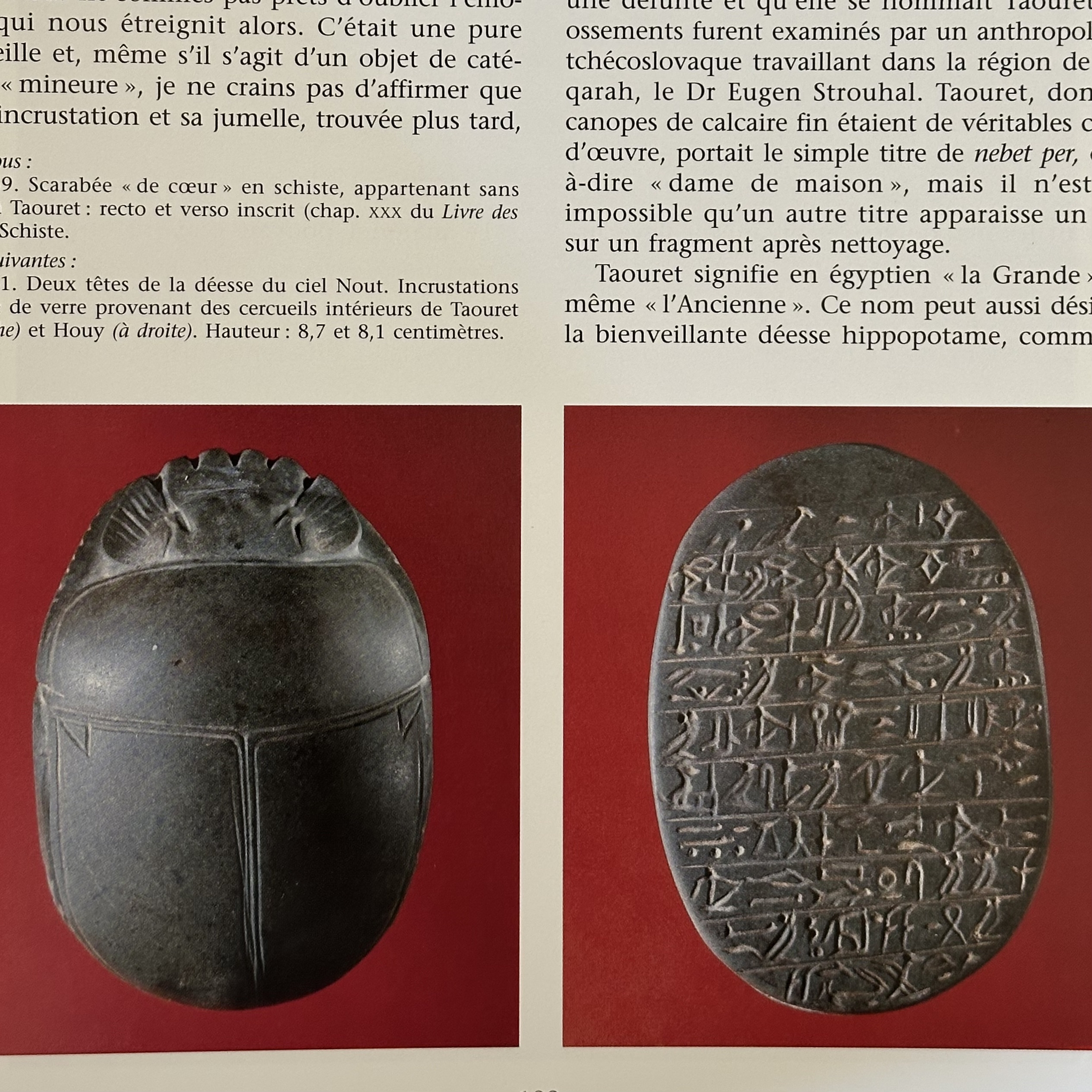 ZIVIE A. : Découverte à Saqqarah - Le Vizir Oublié. La Route des Rois. Librairie. Archéologie