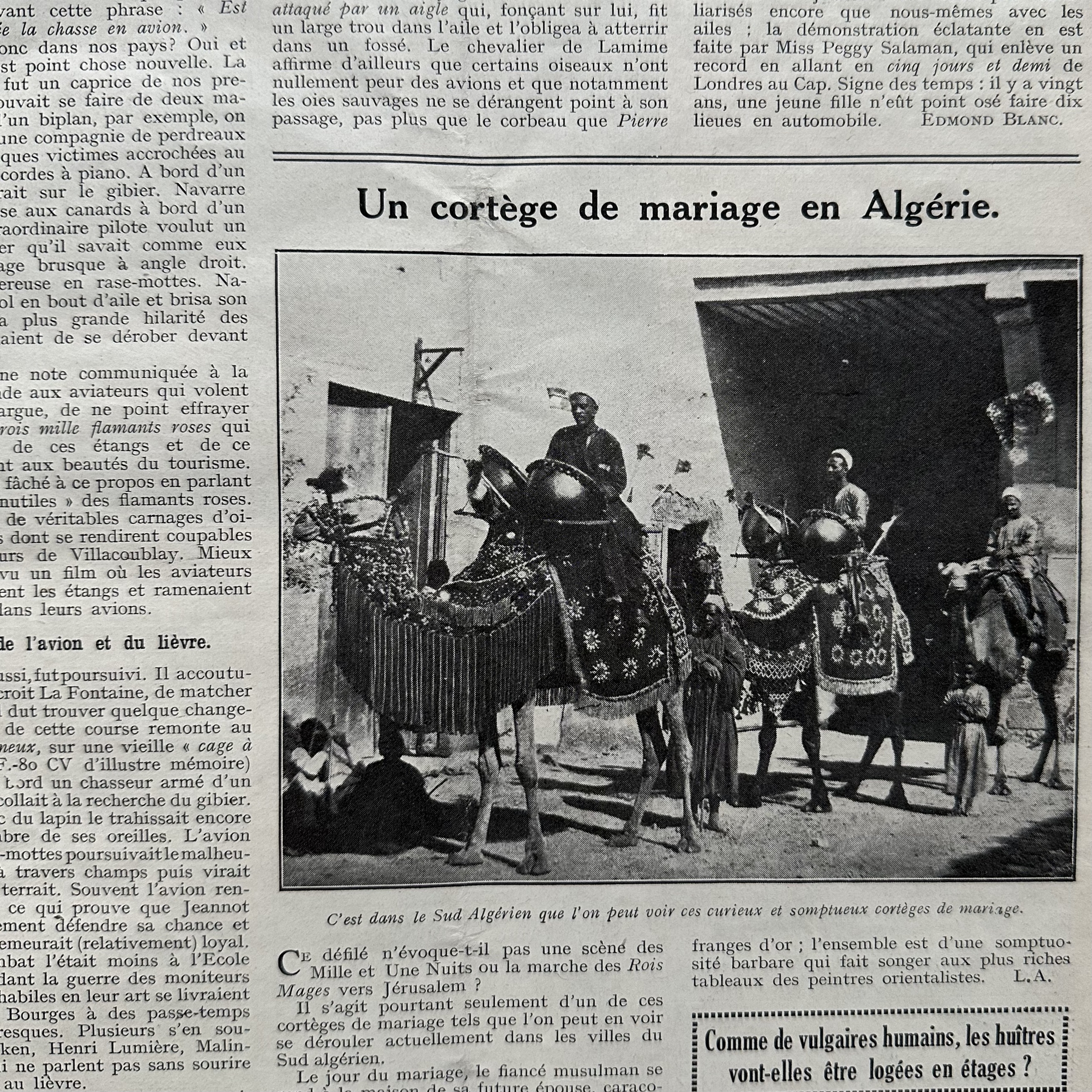 COLLECTIF : Sciences et Voyage N°651 à 663. Revue. La Route des Rois. Librairie. Voyage