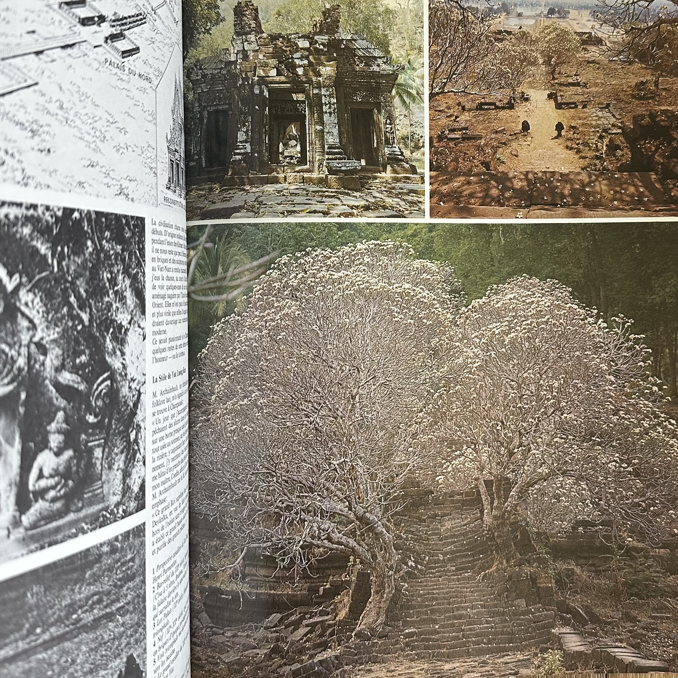 COLLECTIF : LOeil - Revue dArt N°212-213. La Route des Rois. Librairie. Art. Artisanat