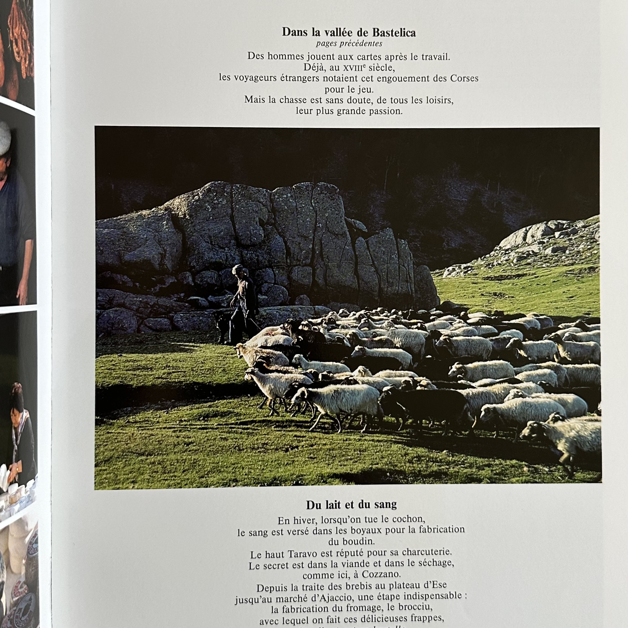 CULIOLI G.-X. / SAÏLLER E. : Terre de Corse. La Route des Rois. Librairie. Voyage