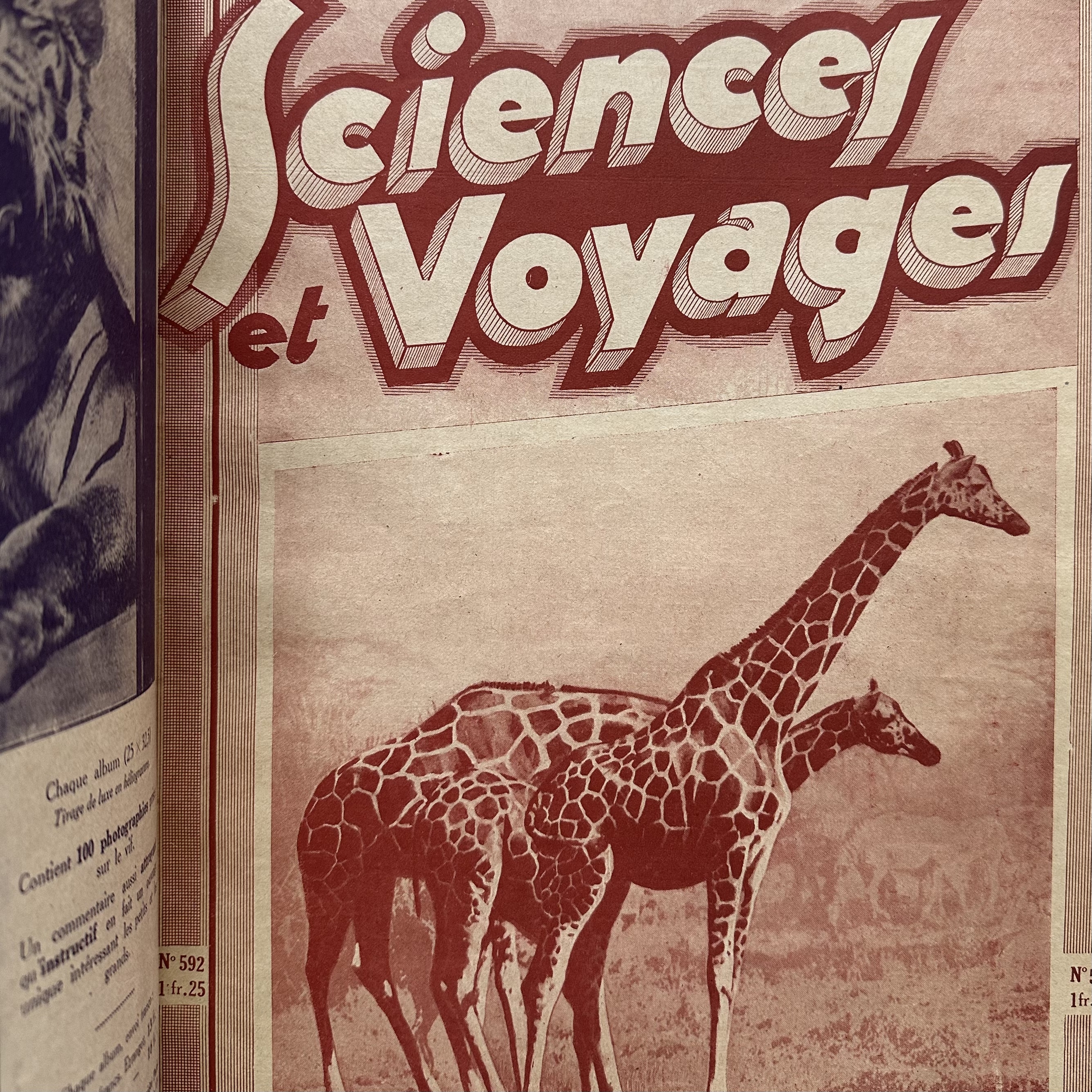 COLLECTIF : Sciences et Voyage N°586 à 598. Revue. La Route des Rois. Librairie. Voyage