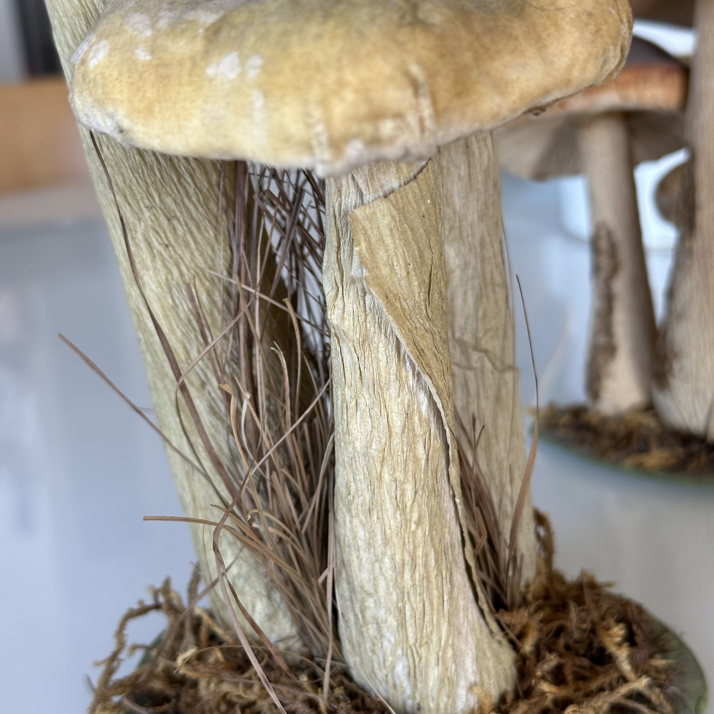 Champignons Décoratifs. Bro1Deco5. La Route des Rois. Brocante