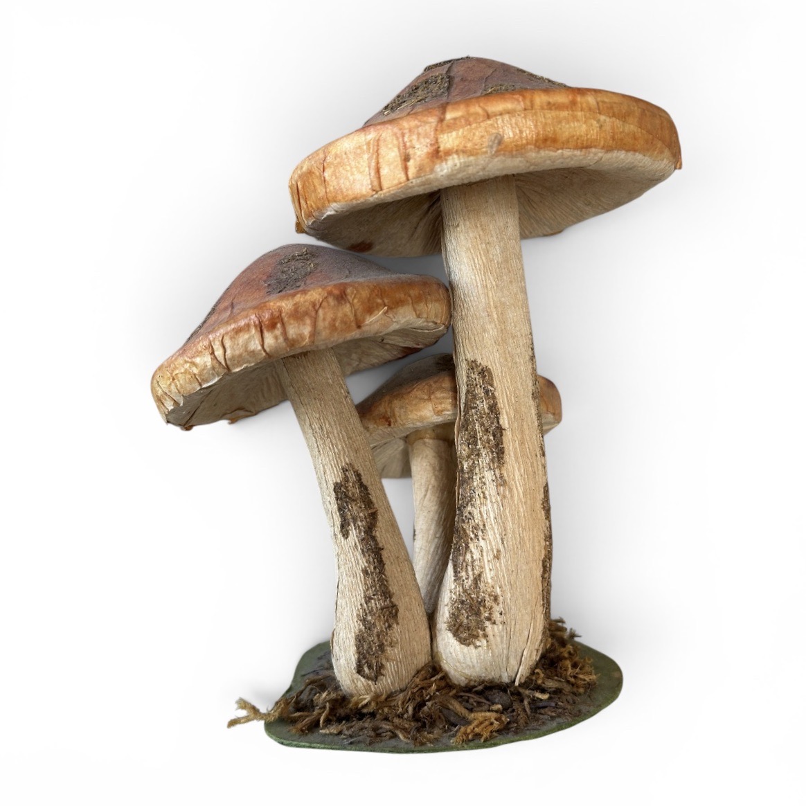Champignons Décoratifs. Bro1Deco5. La Route des Rois. Brocante