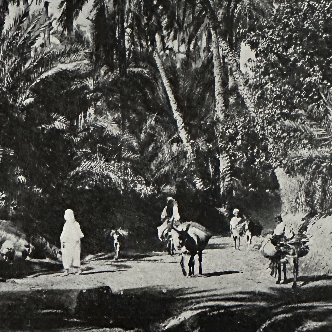 SORREL J. : Pages Africaines - lAfrique du Nord vue par les Littérateurs. LIBrdrU456. La Route des Rois. Librairie. Histoire