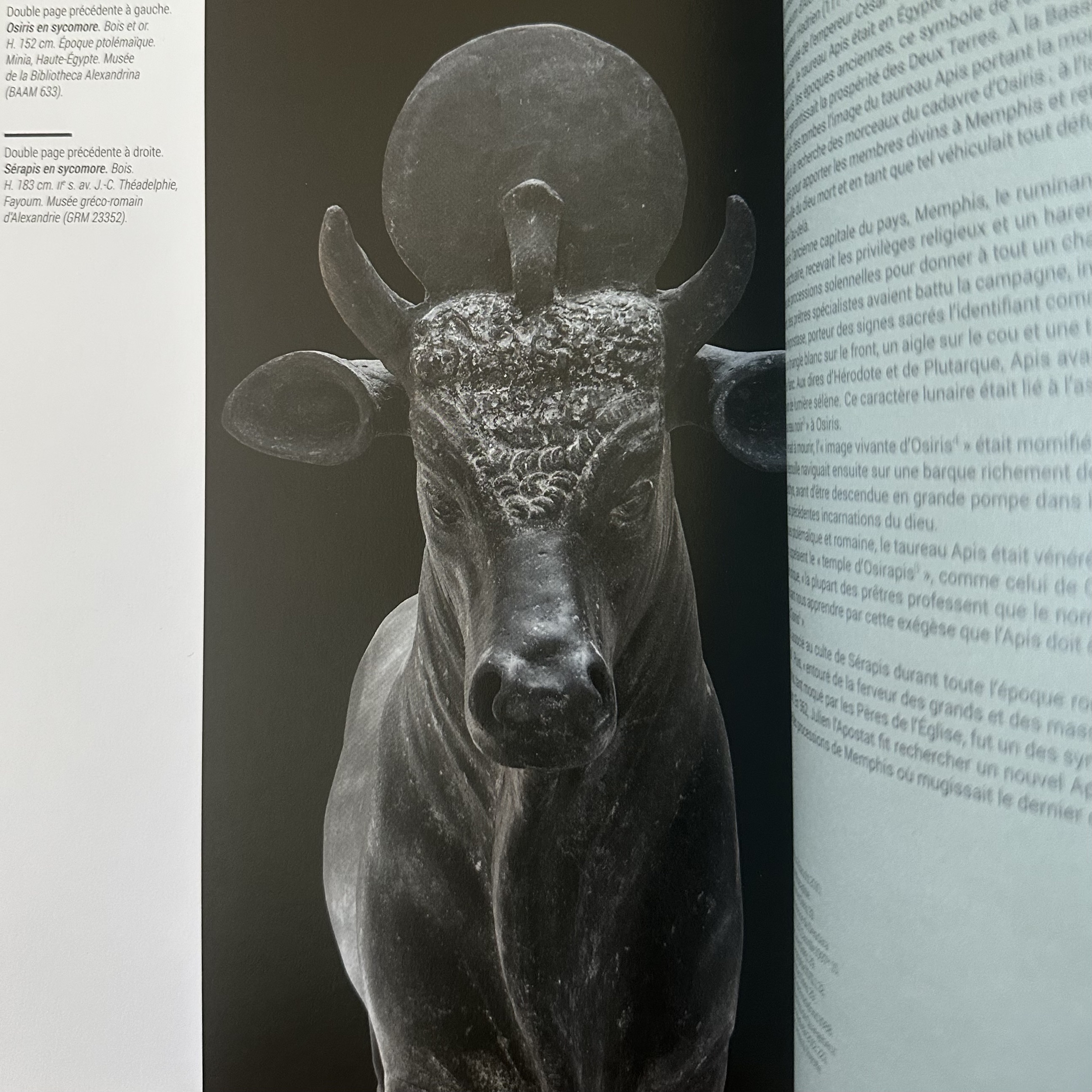 Goddio F./ FABRE D.: OSIRIS-Mystère Engloutis dEgypte. LIBrdrU461. La Route des Rois. Librairie. Archéologie