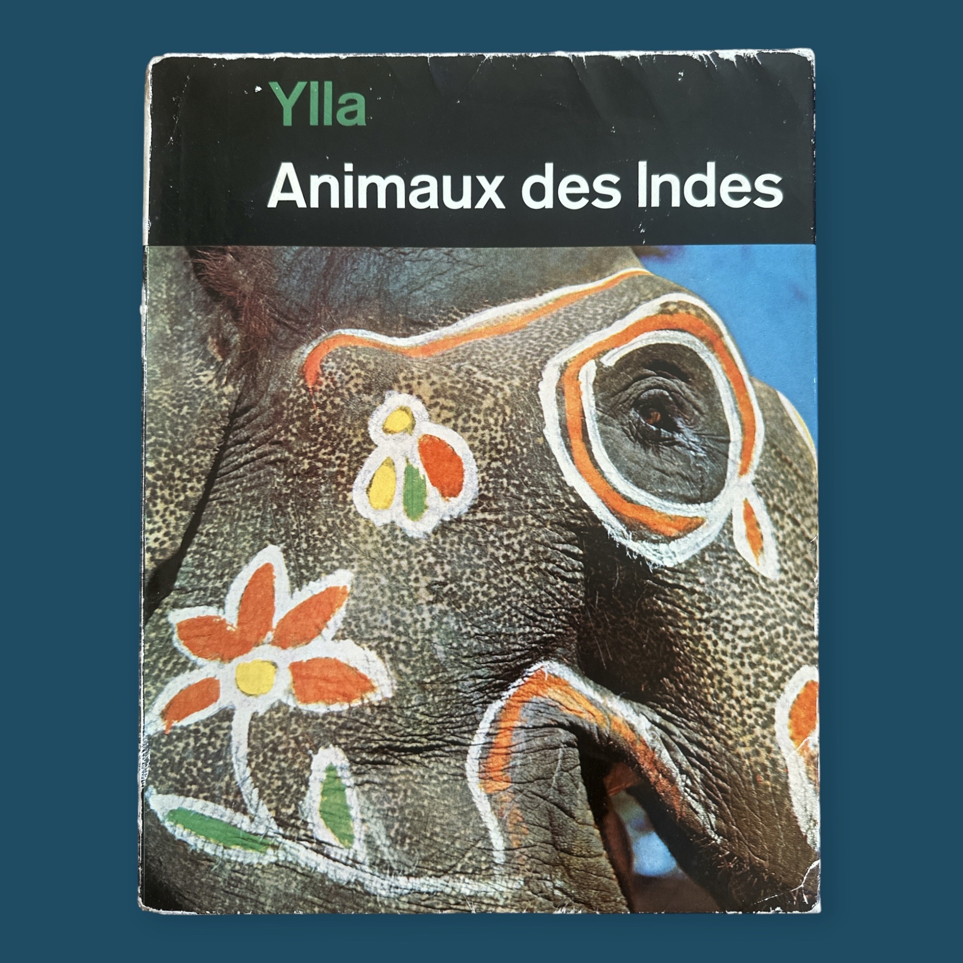 Animaux Des Indes (220x280mm).