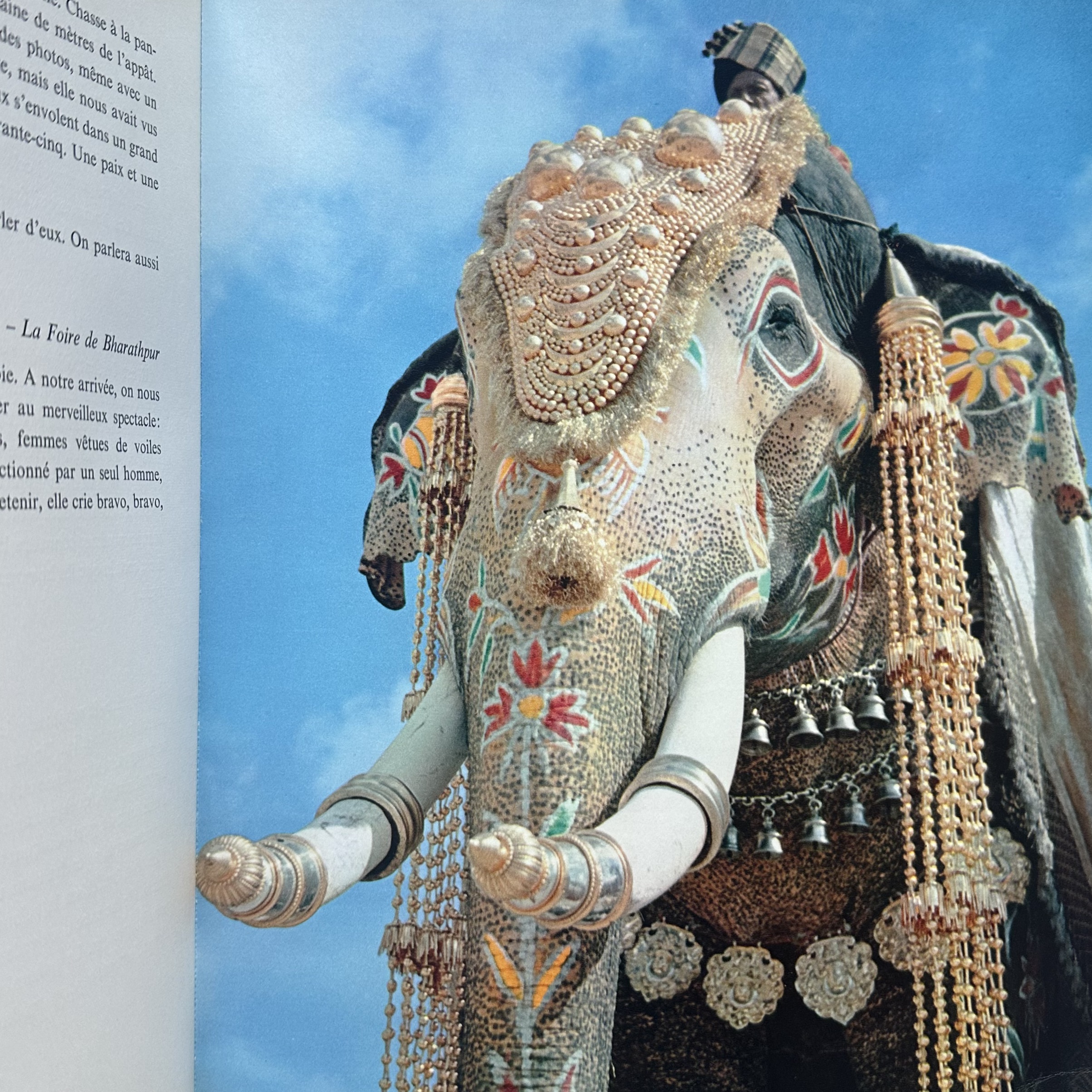 YLLA KOFFLER Camilla : Animaux Des Indes. LIBrdrU462. La Route des Rois. Librairie. Voyage