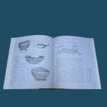 GARNIER Nicolas : Carnets de Papouasie. La Route des Rois. Librairie. Voyage