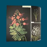 LE DANTEC J.-P., MOSSER M., Païni D. : JARDINS. La Route des Rois. Librairie. Art. Artisanat