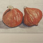 VUILLON, BAMERIE : Secrets et Saveurs des Cucurbitacées des Olivades. Préface Alain Ducasse. La Route des Rois. Librairie. Gastronomie