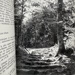 IMOUCHA Henry : Sainte Baume. La Route des Rois. Librairie. Marseille