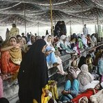 PHILIPPON Alix : Soufisme et Politique au Pakistan. La Route des Rois. Librairie. Histoire