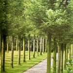 PIGEAT Jean-Paul : Parcs et Jardins contremporains. La Route des Rois. Librairie. Jardin/Ecologie