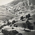 COLLECTIF : Documents Algériens. La Route des Rois. Librairie. Histoire