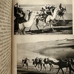 Du PUIGAUDEAU O. : Le sel du désert. La Route des Rois. Librairie. Marseille