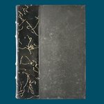 Du PUIGAUDEAU O. : Le sel du désert. La Route des Rois. Librairie. Marseille
