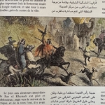 BEGUIN BILLECOCQ X. : Les Émirats ou la fabuleuse histoire de la côte des perles. La Route des Rois. Librairie. Voyage