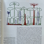 HALLÉ Francis : Plaidoyer pour la Forêt Tropicale. Sommet de la diversité. La Route des Rois. Librairie. Jardin/Ecologie