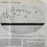 COLLECTIF : Sciences et Voyages. Revue. 762 à 774. La Route des Rois. Librairie. Voyage