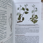 TRUFFAUT G. : LArt de Tailler. La Route des Rois. Librairie. Jardin/Ecologie