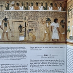 FAULKNER R. O. : The Ancient Egyptian Book of the Dead. La Route des Rois. Librairie. Archéologie