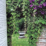 VIARD M. : Vite un Beau Jardin - Plantes à Croissance Rapide. La Route des Rois. Librairie. Jardin/Ecologie
