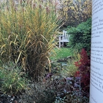 VIARD M. : Vite un Beau Jardin - Plantes à Croissance Rapide. La Route des Rois. Librairie. Jardin/Ecologie