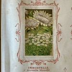 BAUDOT L. : Fleurs et Légumes de nos Jardins. La Route des Rois. Librairie. Jardin/Ecologie