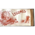 BAUDOT L. : Fleurs et Légumes de nos Jardins. La Route des Rois. Librairie. Jardin/Ecologie