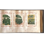 BAUDOT L. : Fleurs et Légumes de nos Jardins. La Route des Rois. Librairie. Jardin/Ecologie