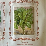 BAUDOT L. : Fleurs et Légumes de nos Jardins. La Route des Rois. Librairie. Jardin/Ecologie