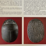 ZIVIE A. : Découverte à Saqqarah - Le Vizir Oublié. La Route des Rois. Librairie. Archéologie