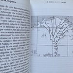 LOPRIENO A. : La Pensée et lEcriture. La Route des Rois. Librairie. Histoire