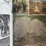 COLLECTIF : LOeil - Revue dArt N°212-213. La Route des Rois. Librairie. Art. Artisanat
