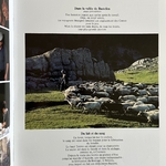 CULIOLI G.-X. / SAÏLLER E. : Terre de Corse. La Route des Rois. Librairie. Voyage