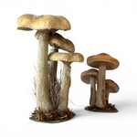 Champignons Décoratifs. Bro1Deco5. La Route des Rois. Brocante