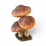 Champignons Décoratifs. Bro1Deco5. La Route des Rois. Brocante