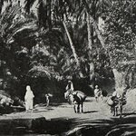 SORREL J. : Pages Africaines - lAfrique du Nord vue par les Littérateurs. LIBrdrU456. La Route des Rois. Librairie. Histoire