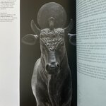 Goddio F./ FABRE D.: OSIRIS-Mystère Engloutis dEgypte. LIBrdrU461. La Route des Rois. Librairie. Archéologie