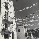IMG_1487